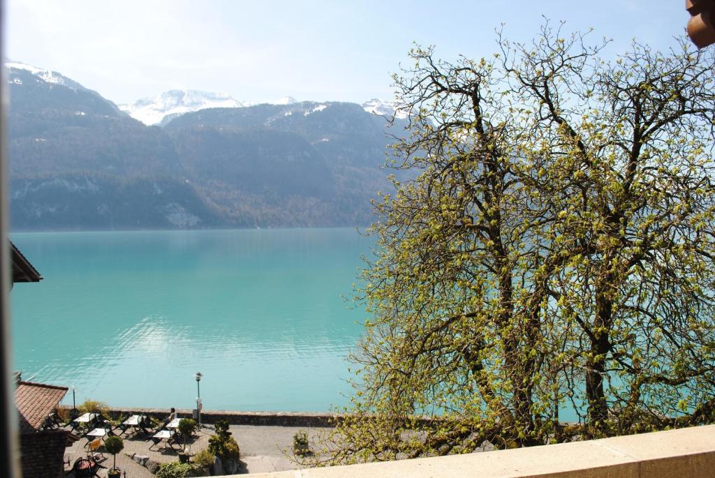 Hotel Brienzerburli Brienz  Exterior photo